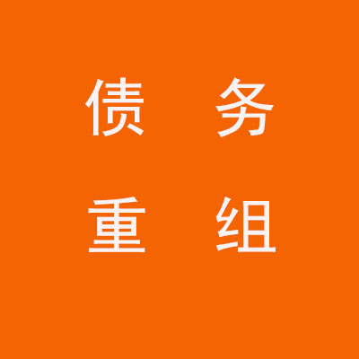 环翠个人债务重组优化